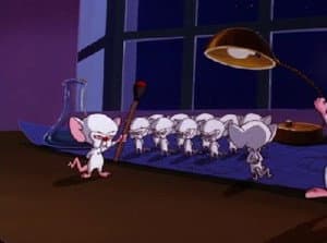 Episodio 19