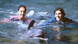 Flipper — foto 11
