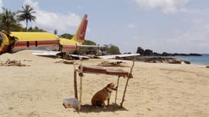 The Last Island — foto 1