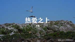 Episodio 8