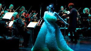 Björk Orkestral — foto 1