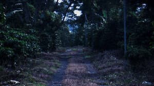 La Trocha — foto 2