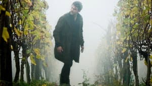 Weinberg — foto 2