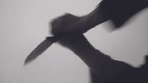 Bloodthirst — foto 7