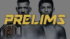 UFC 319: du Plessis vs. Chimaev — foto 8