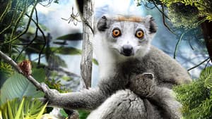 Madagascar 3D — foto 1