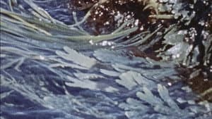 Waves — foto 1