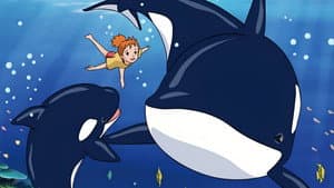 七つの海のティコ — foto 7