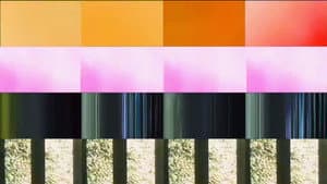 In Series — foto 1