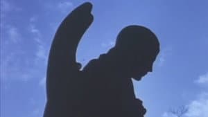 Angel — foto 3