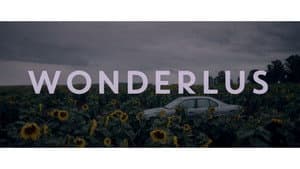 Wonderlus — foto 1