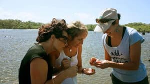 Episodio 8