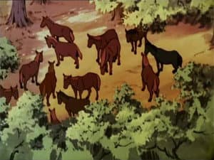Episodio 19