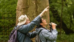 Birders: The Central Park Effect — foto 1