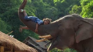 Animales superdotados — foto 2
