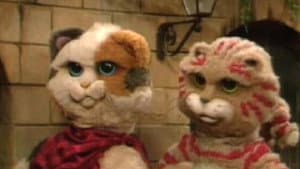 Pachá y los gatos — foto 2