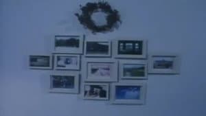 Zone — foto 2