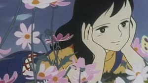 ユキの太陽 — foto 11