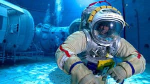 De mono a astronauta