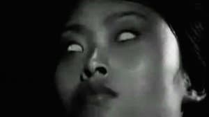 Akumi — foto 3