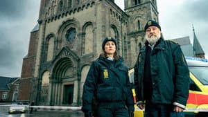 Der Dänemark Krimi — foto 1