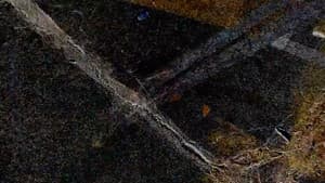 Introduction to Crack Sealing 3 — foto 1