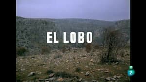 Episodio 34