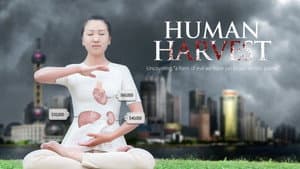 Human Harvest — foto 1