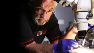 Million Dollar Moon Rock Heist — foto 6