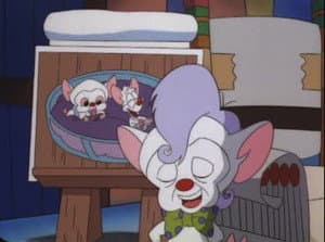 Episodio 29