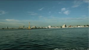 Veracruz 500 Años: Cara a Cara con su Historia — foto 1