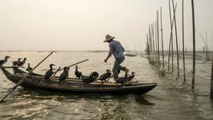 Langs de oevers van de Yangtze — foto 2