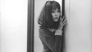 Alphaville — foto 10