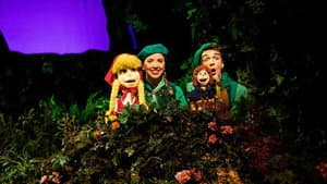 Sprookjesboom de Musical — foto 5