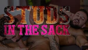 Studs in the Sack — foto 2