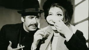 رقاصه شهر — foto 1