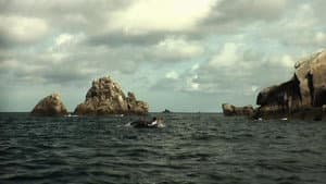 L'ile lost island — foto 2