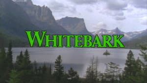 Episodio 9