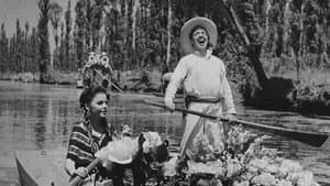 El Violetero — foto 1