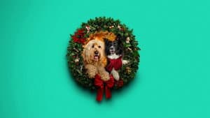 Happy Howlidays — foto 1