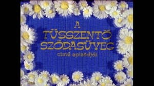 Episodio 10