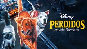 Volviendo a Casa 2: Perdidos en San Francisco — foto 11