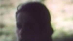 Uccelli di terra — foto 1