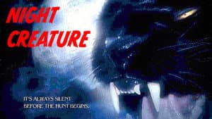 Night Creature — foto 4