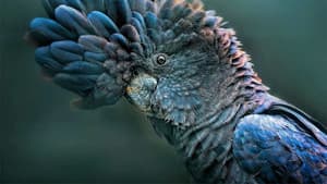 Australia Remastered — foto 2