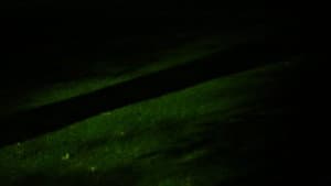 The Shape of the North Star — foto 1