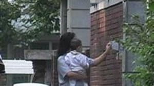 파산의 기술記述 — foto 1