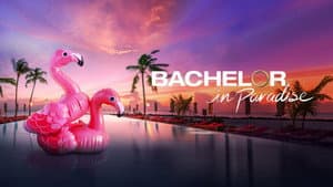 Bachelor in Paradise — foto 12