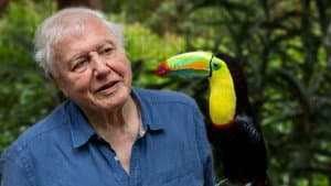 La vida a color con David Attenborough — foto 1