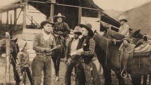 The Jack Rider — foto 1